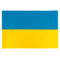 Прапор Vinga Україна, державний, 90*140см (VFUS140G)