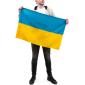 Прапор Vinga Україна, державний, 60*90см (VFUS090G)